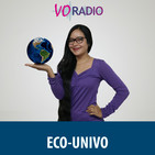 Programa 4 - 2017