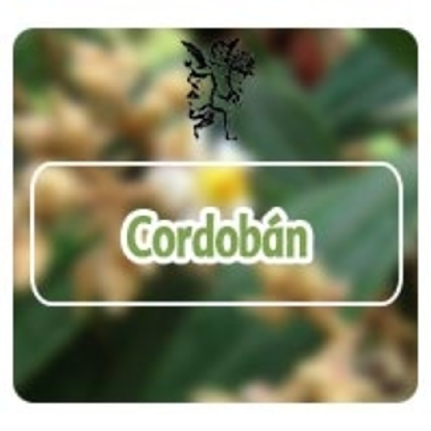 El Angel de tu Salud - CORDOBÁN* episode artwork
