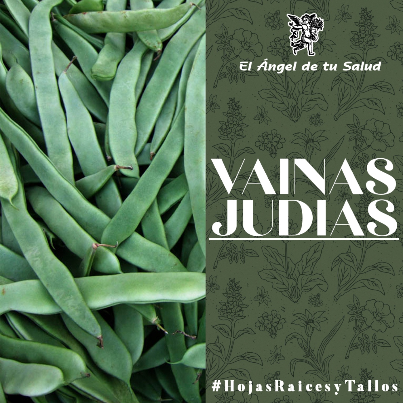 El Ángel de tu Salud - Vainas Judías**