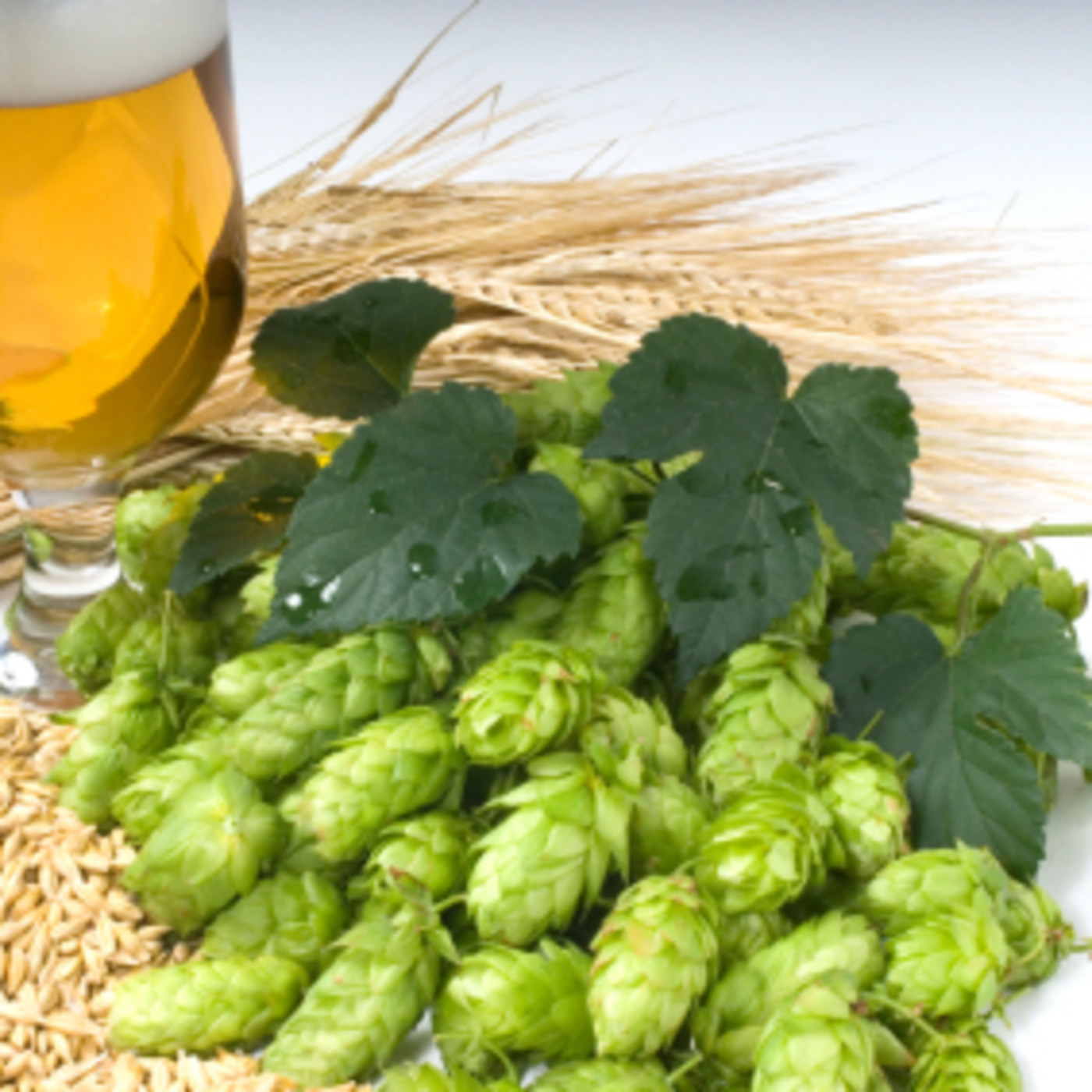 Aire de Cerveza