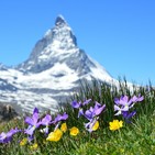 Meditación Metta del amor benevolente