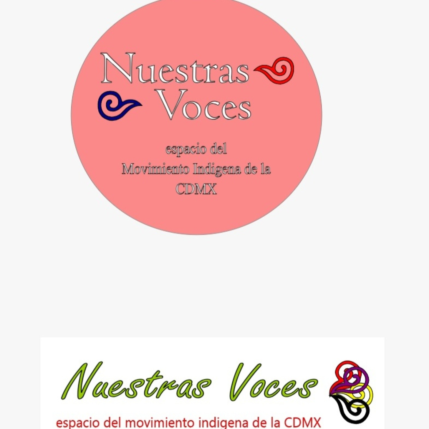 Nuestras Voces 24022025 p 334