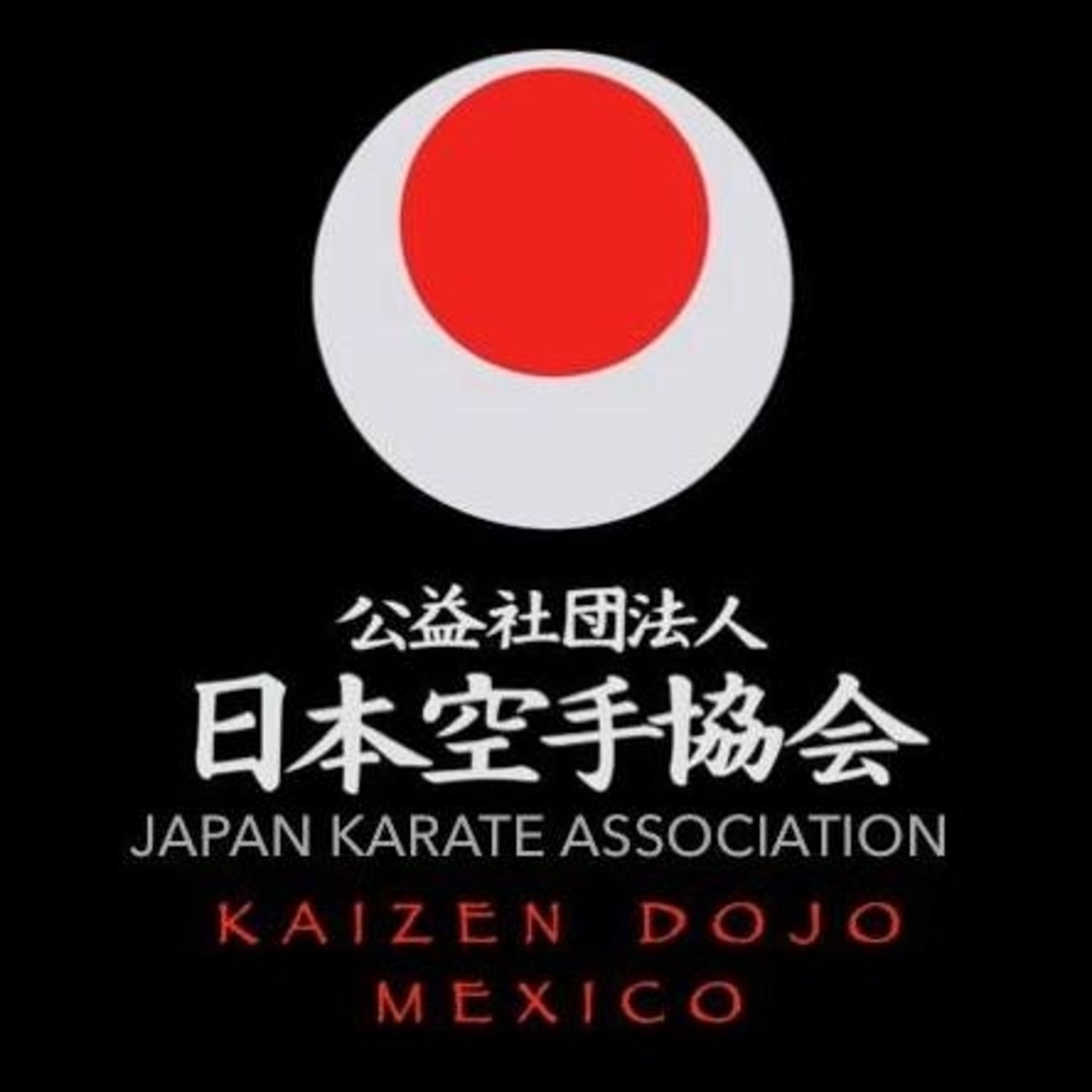 ESPIRITU SAMURAI