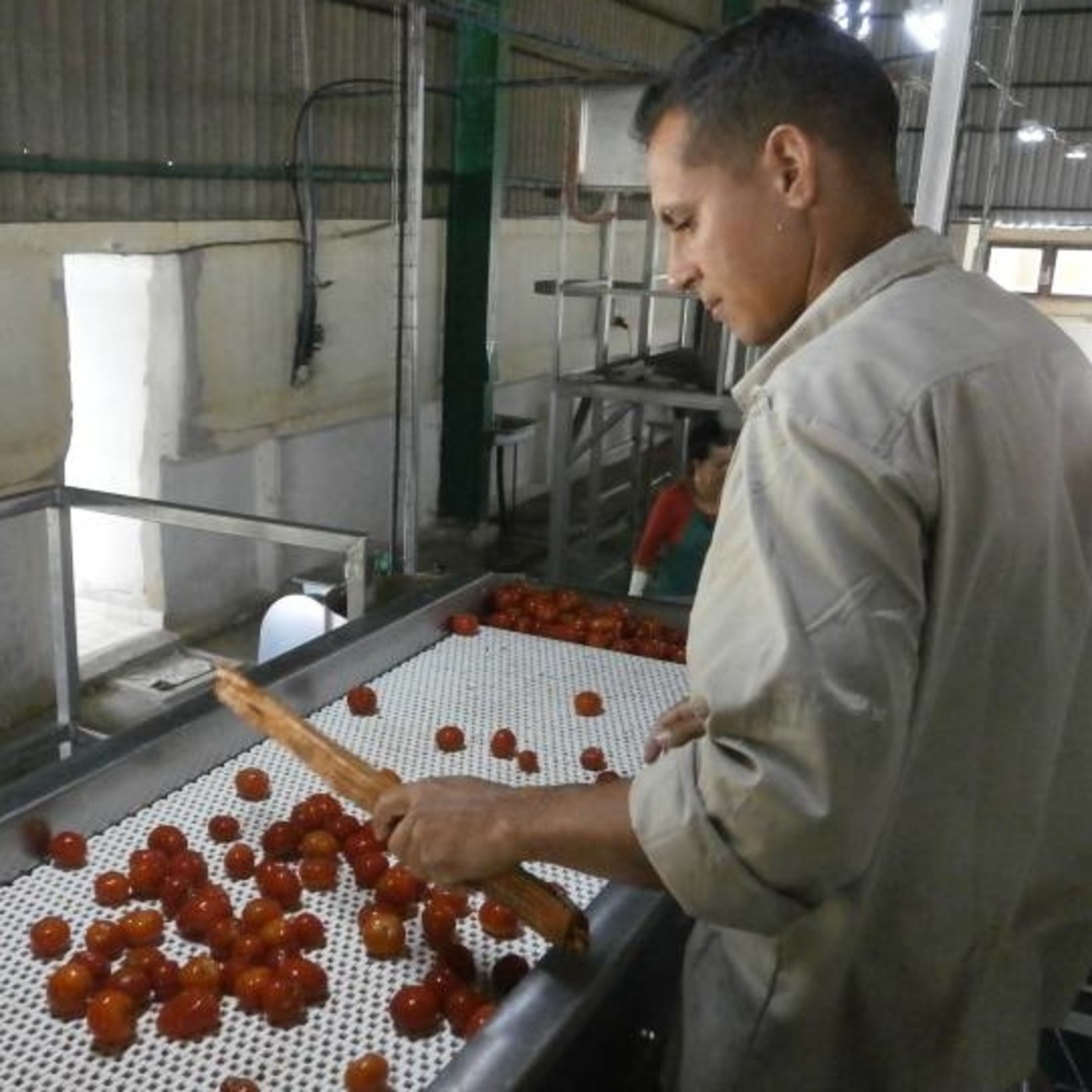 En la Empresa Jíquima el trabajo hace crecer los frutos episode artwork