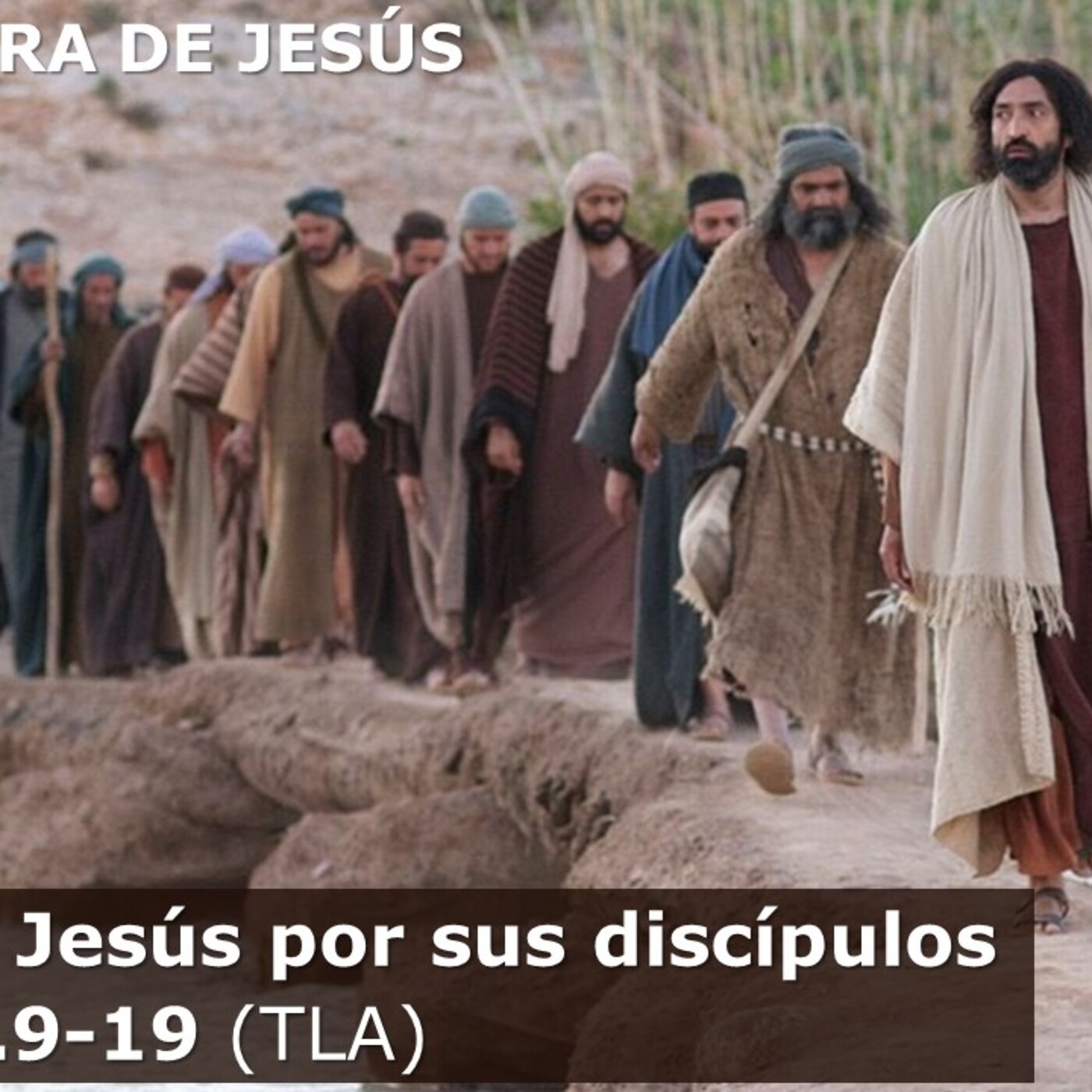 CCFE, CAFÉ CON FE