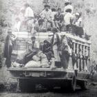 embed image