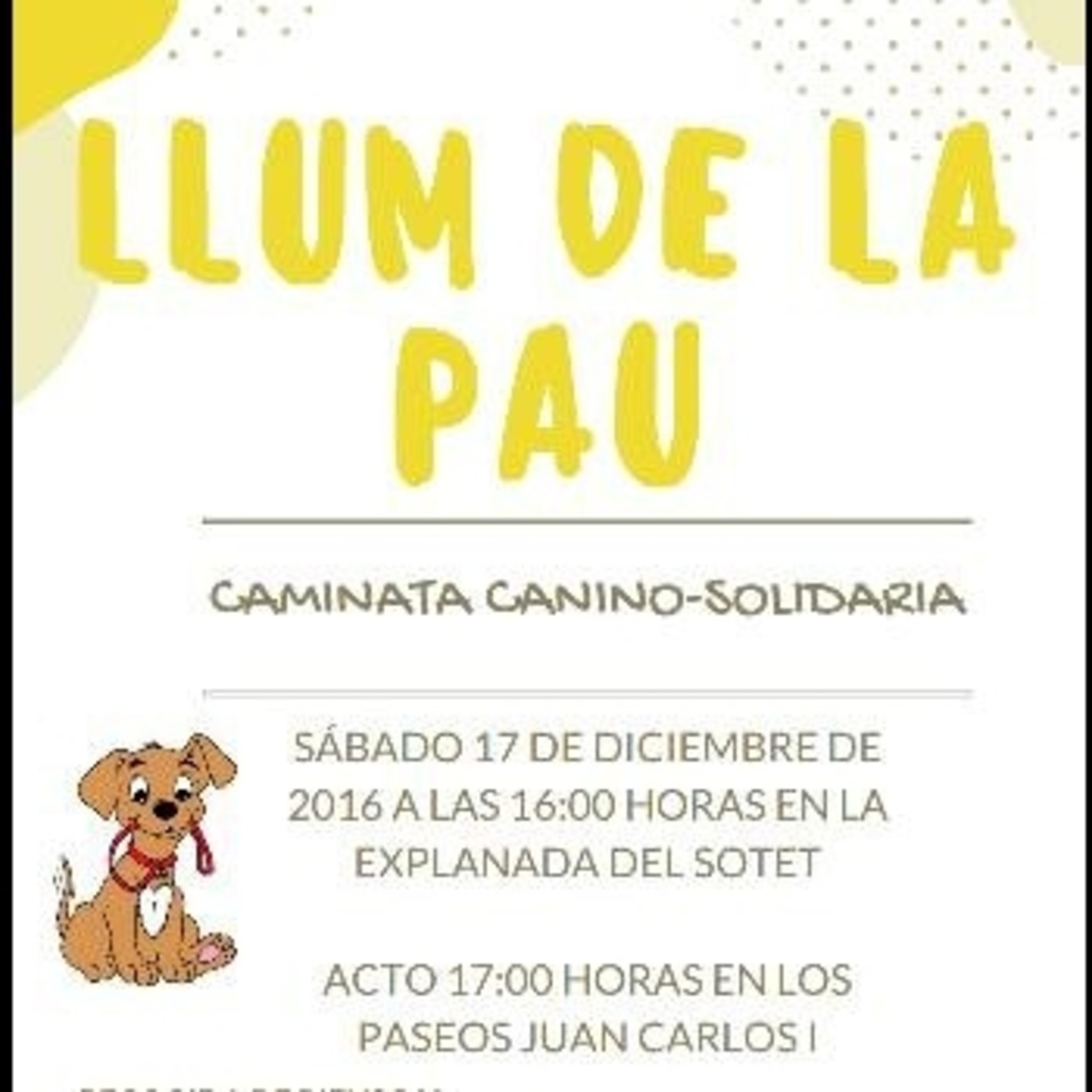 Entrevista con Janis Cuchí - Llum de la Pau Escultismo Fraga episode artwork