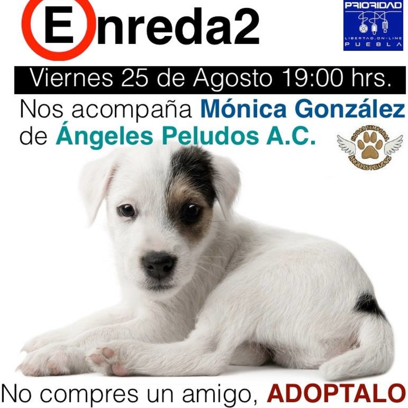 Podcast de Enreda2