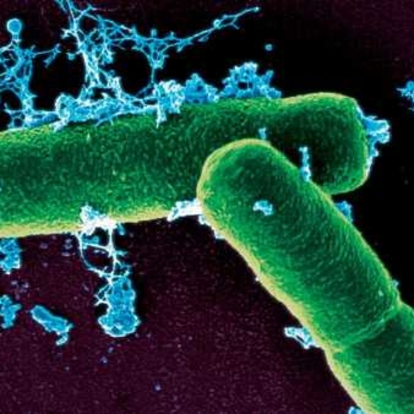 La Fábrica de la Ciencia  (LFDLC)