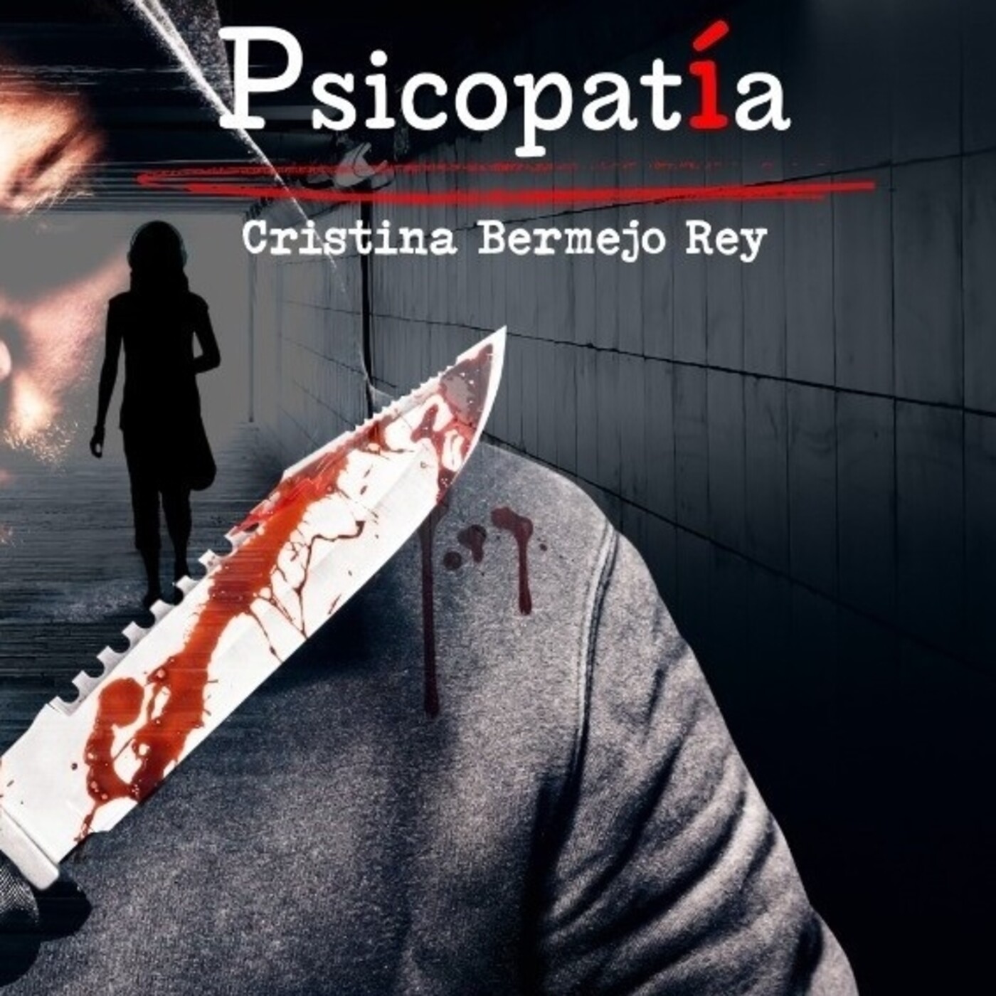 PROGRAMA GORRION