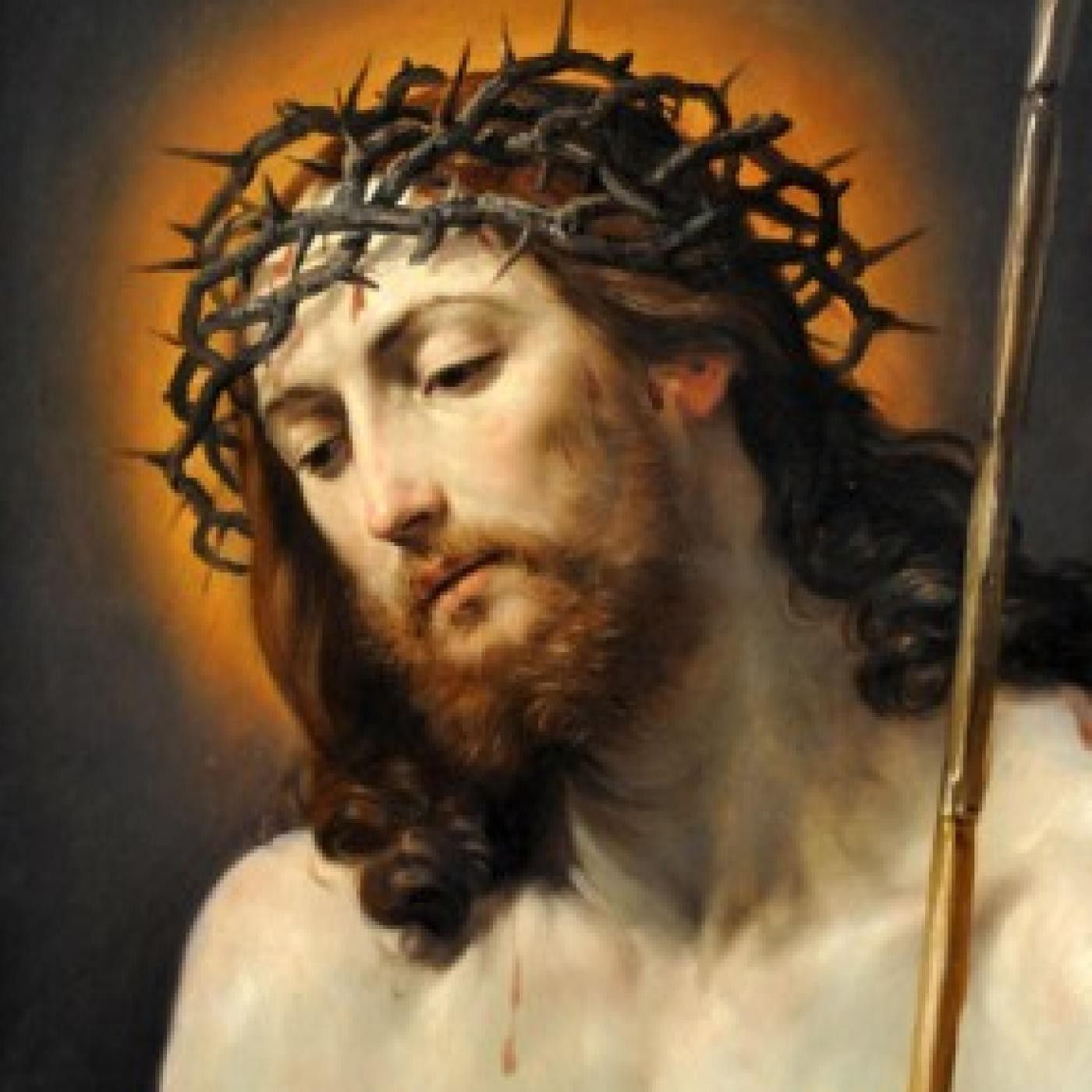 SANTO ROSARIO DOLOROSOS