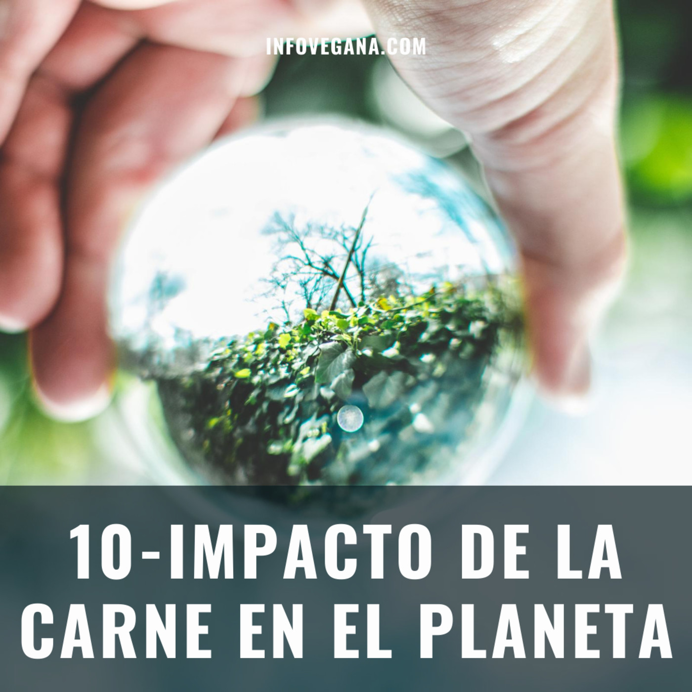 10 - IMPACTO DE LA CARNE EN EL PLANETA | Infovegana, el podcast episode artwork