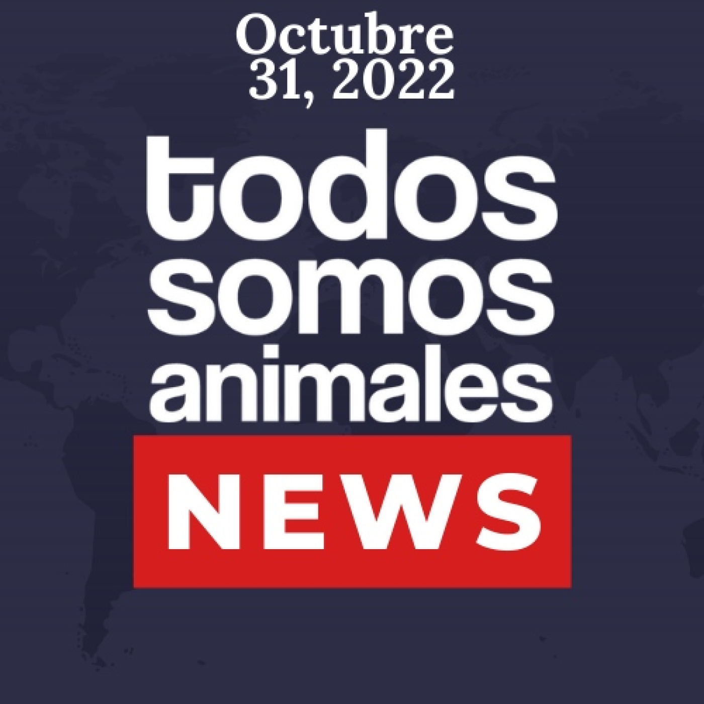Todos Somos Animales News