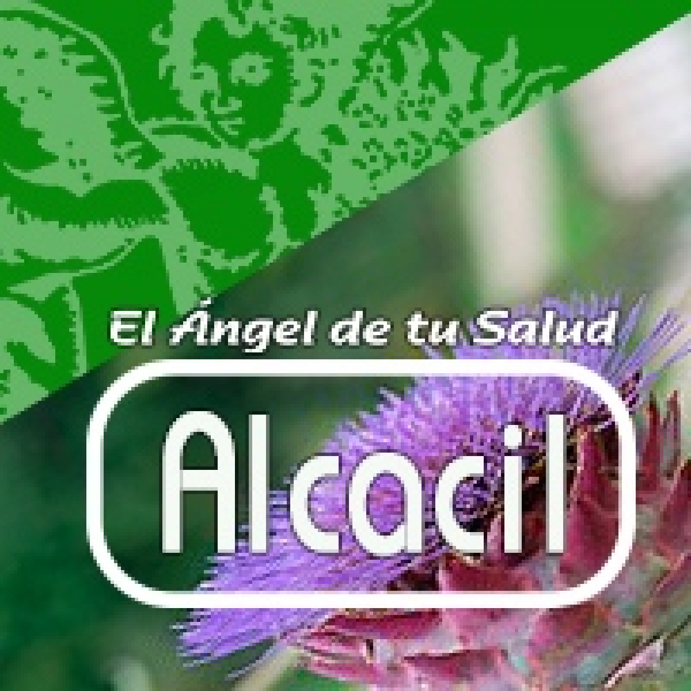 El Angel de tu Salud - ALCACIL****