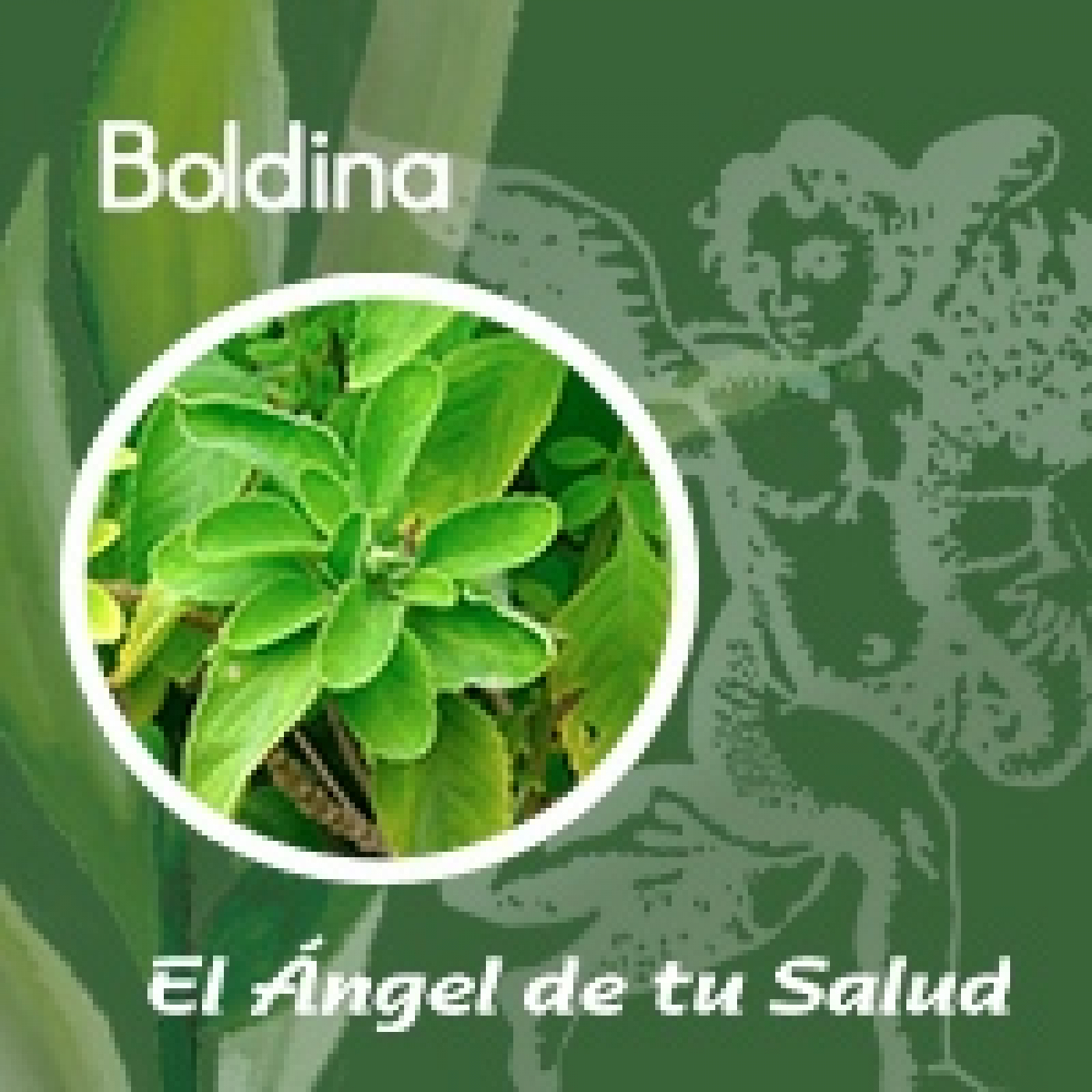 El Ángel de tu Salud - Boldina** episode artwork