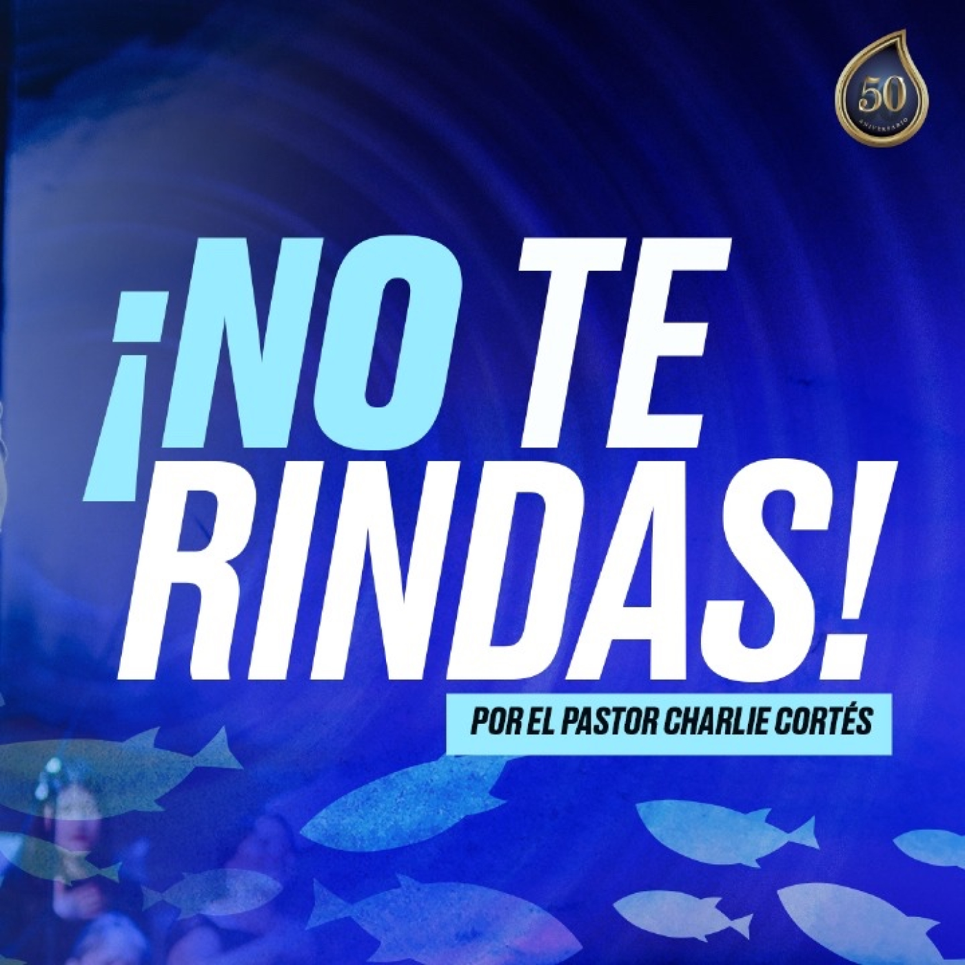 No te rindas episode artwork