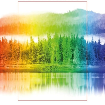 embed image