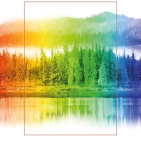 embed image