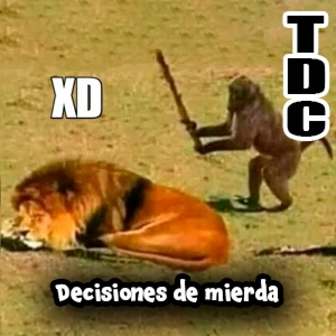 TDC - Tiempo de Culto