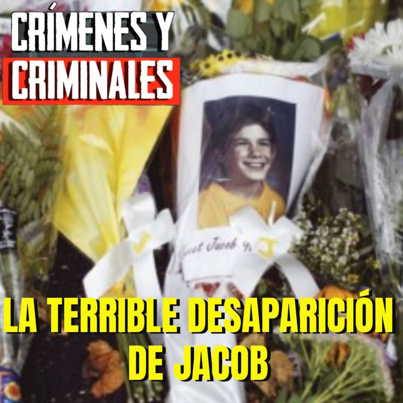 La terrible desaparición de Jacob episode artwork