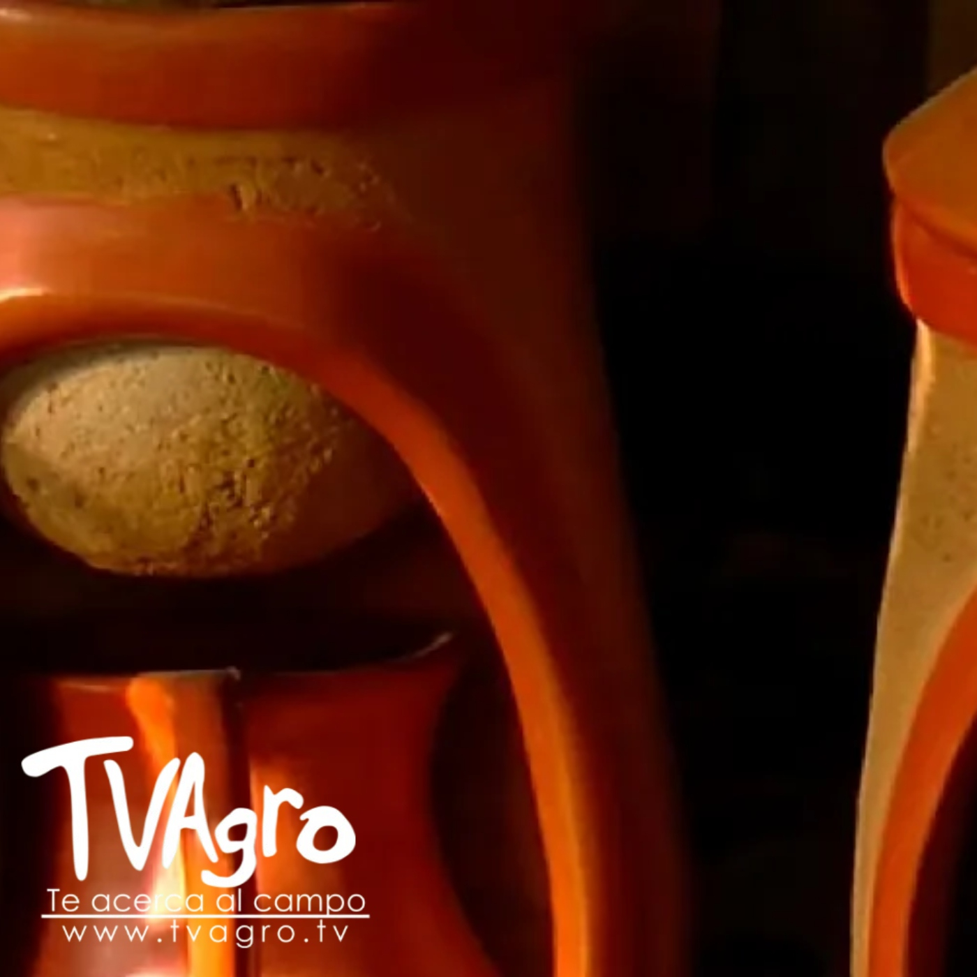 TV AGRO