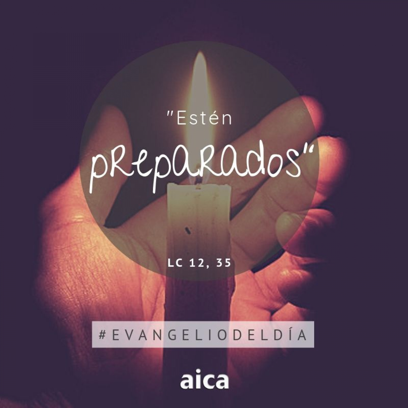 Buceando el Evangelio