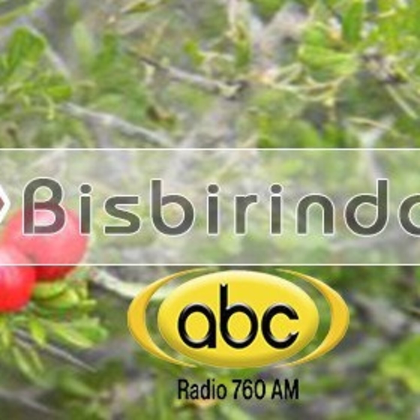 El Ángel de tu Salud - BISBIRINDA
