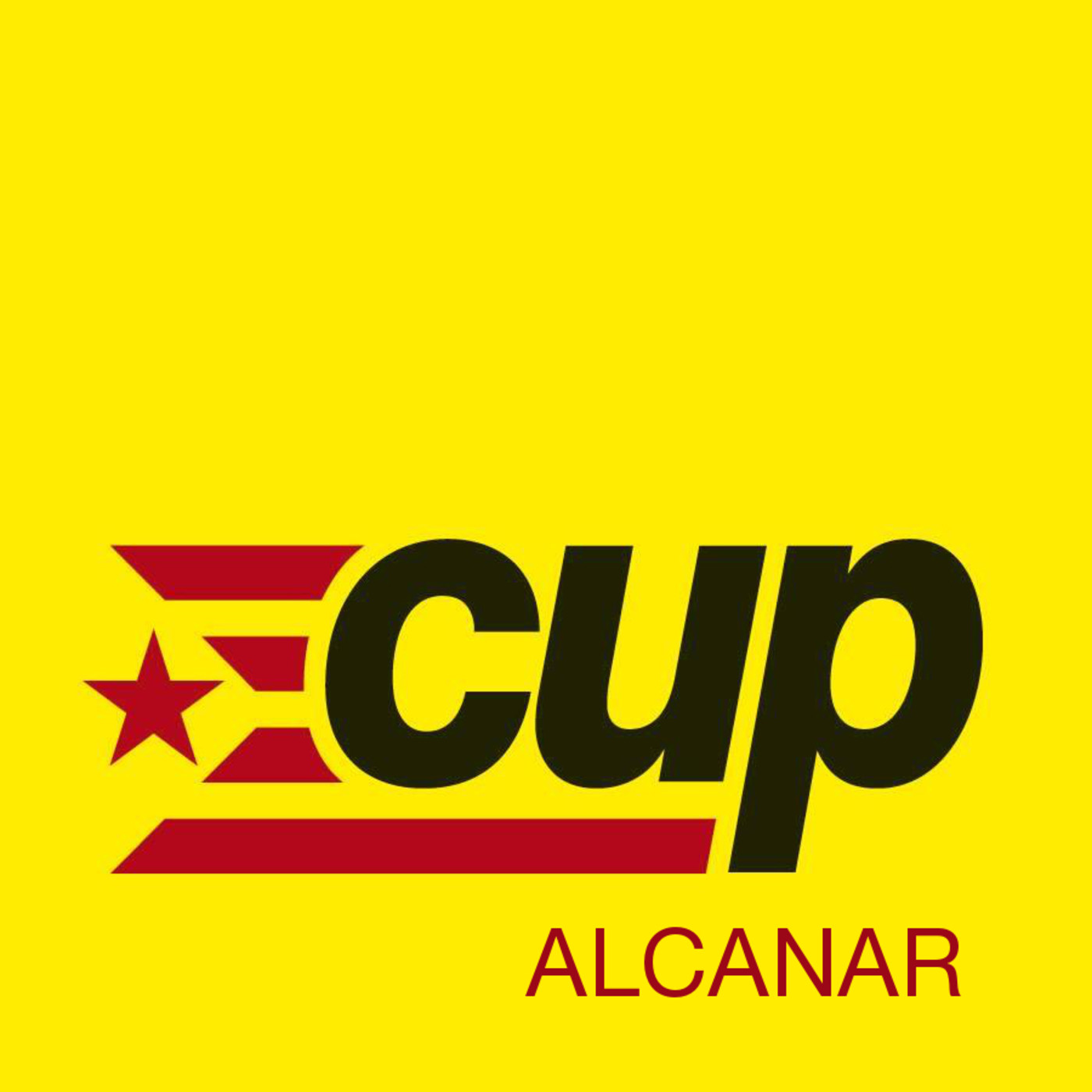 Plens de la legislatura 2015-2019