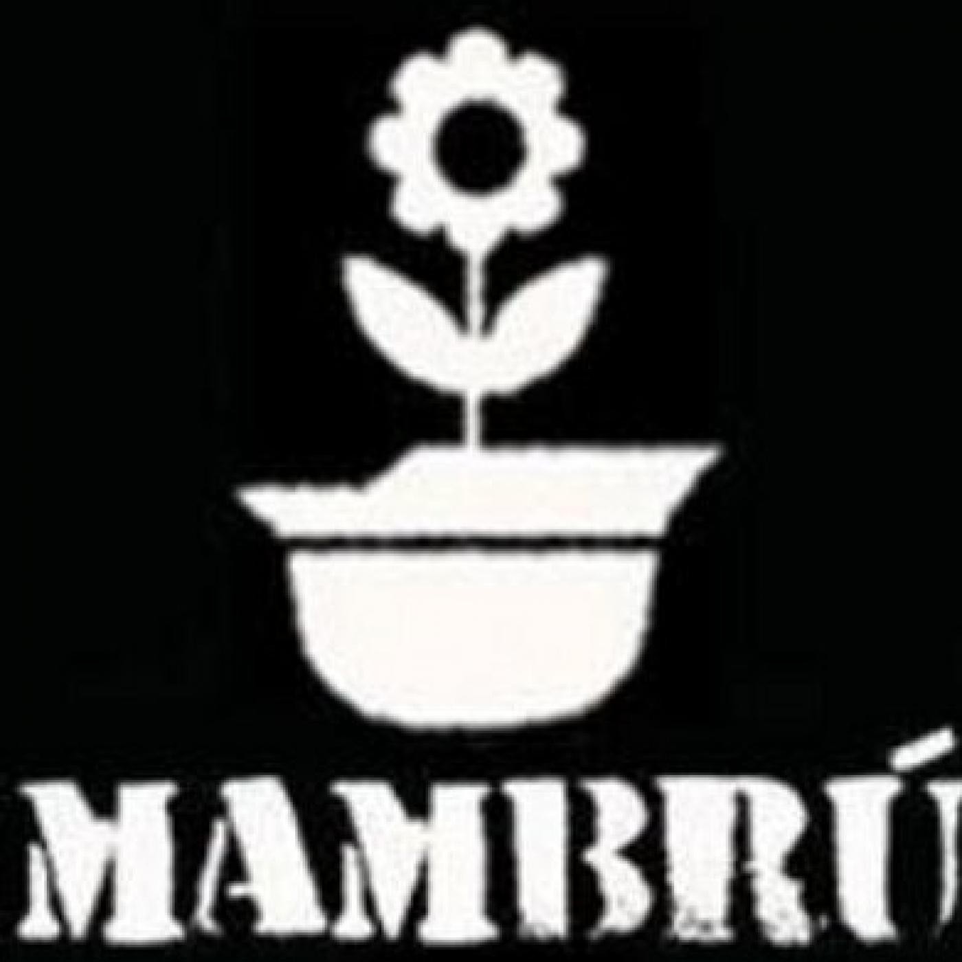 Podcast de SelecciónProgramación RadioMAI