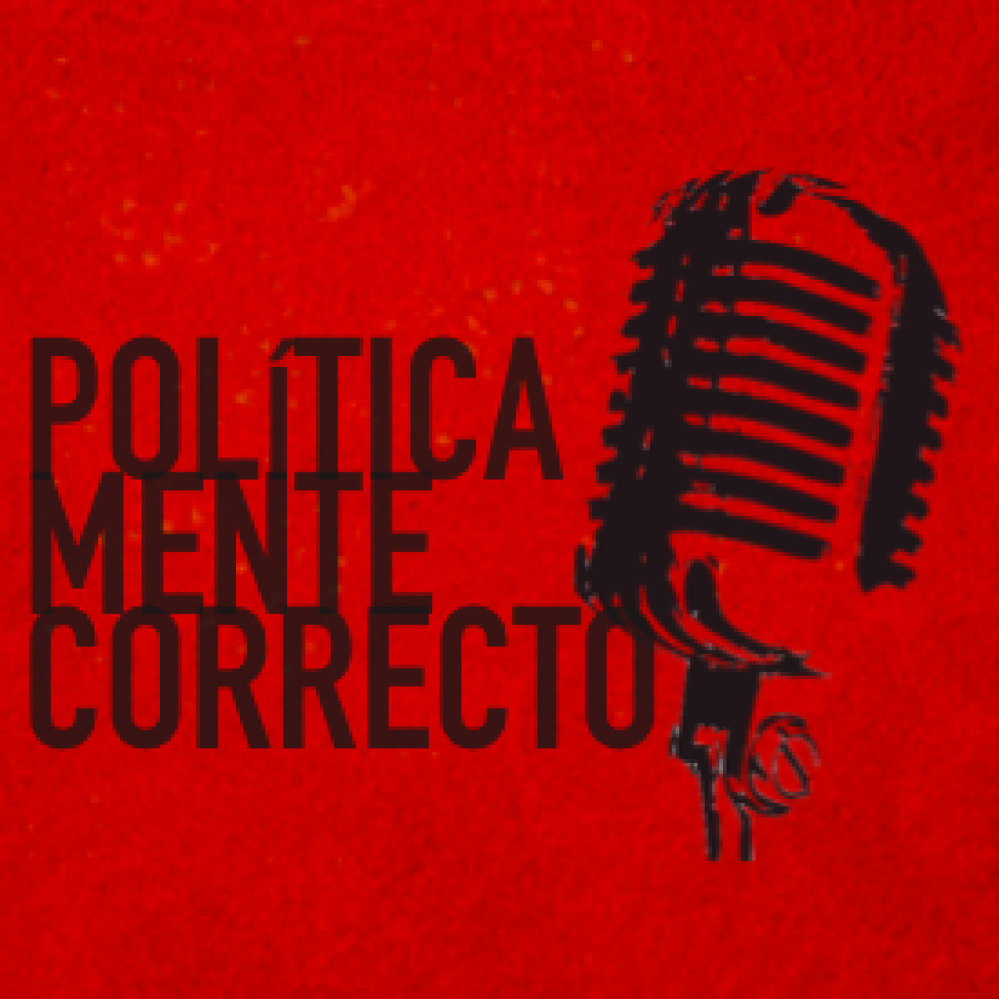 Políticamente Correcto