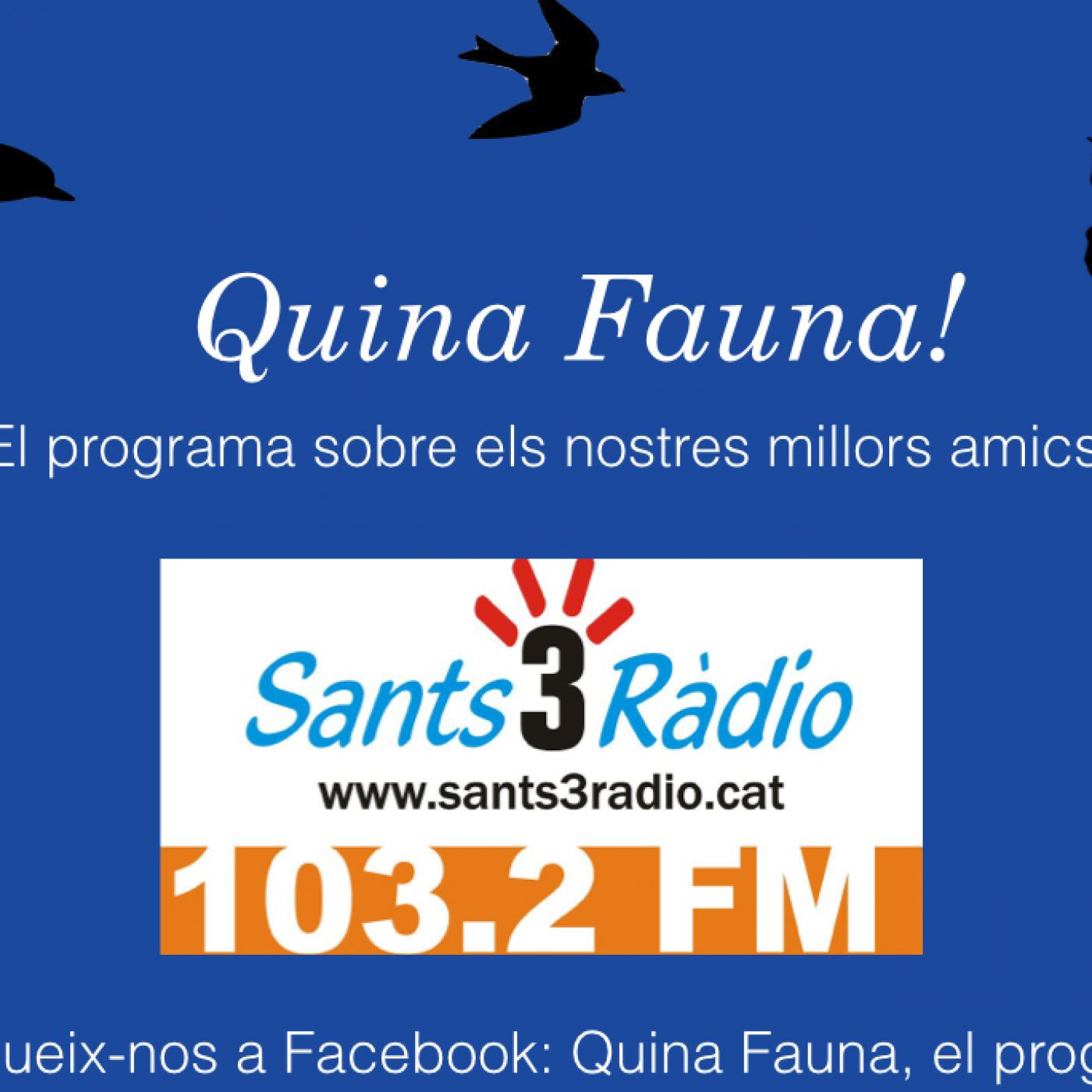 Quina Fauna