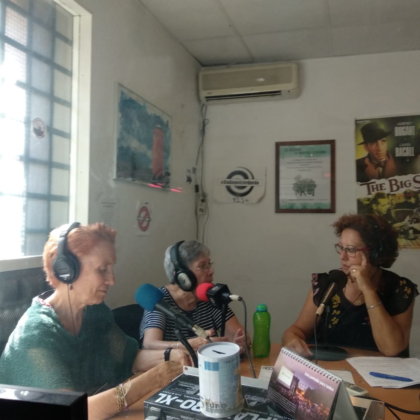 Feminópolis Programa