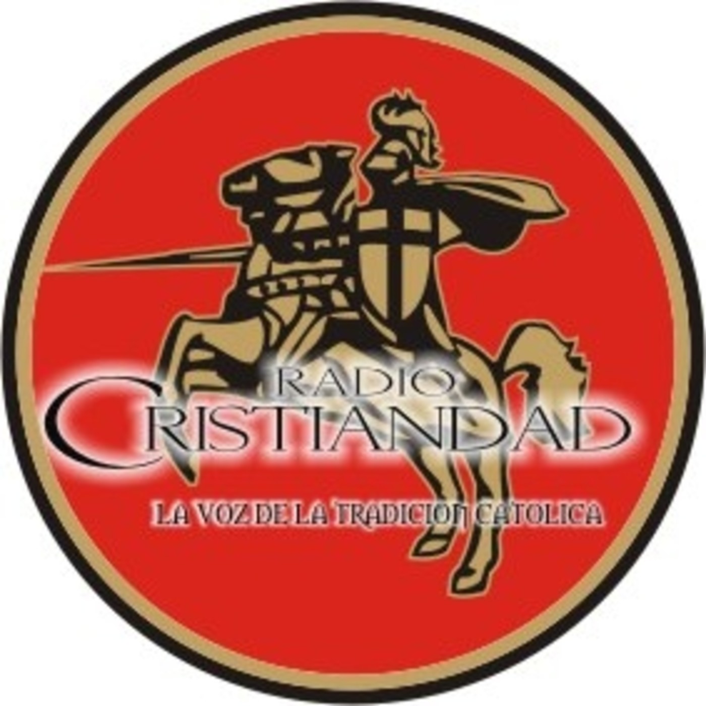 Sermones desde la Inhospita Trinchera - P. Juan C. Ceriani - Sermon del Quinto Domingo de Epifania - 2019 episode artwork