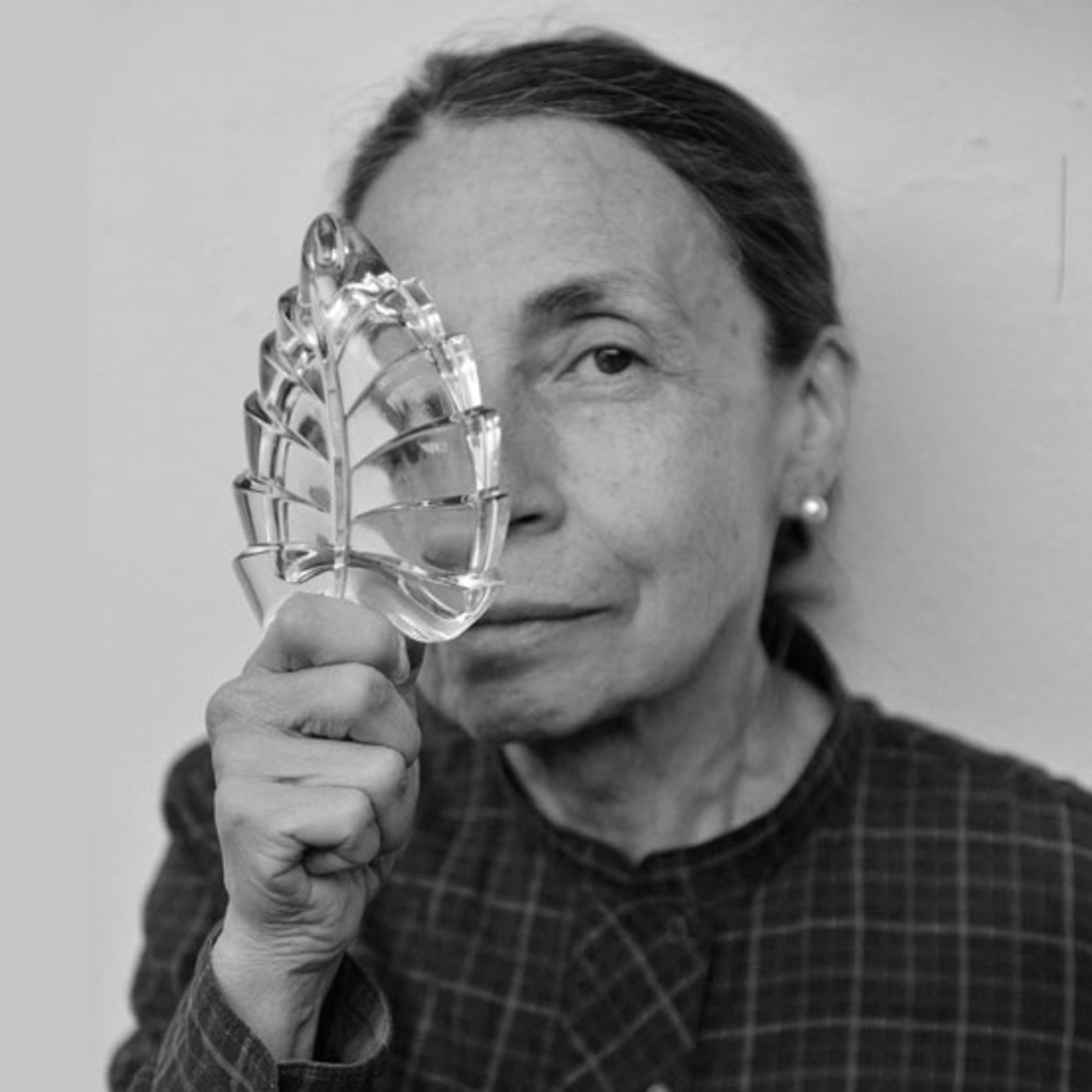 Vitrina distópica