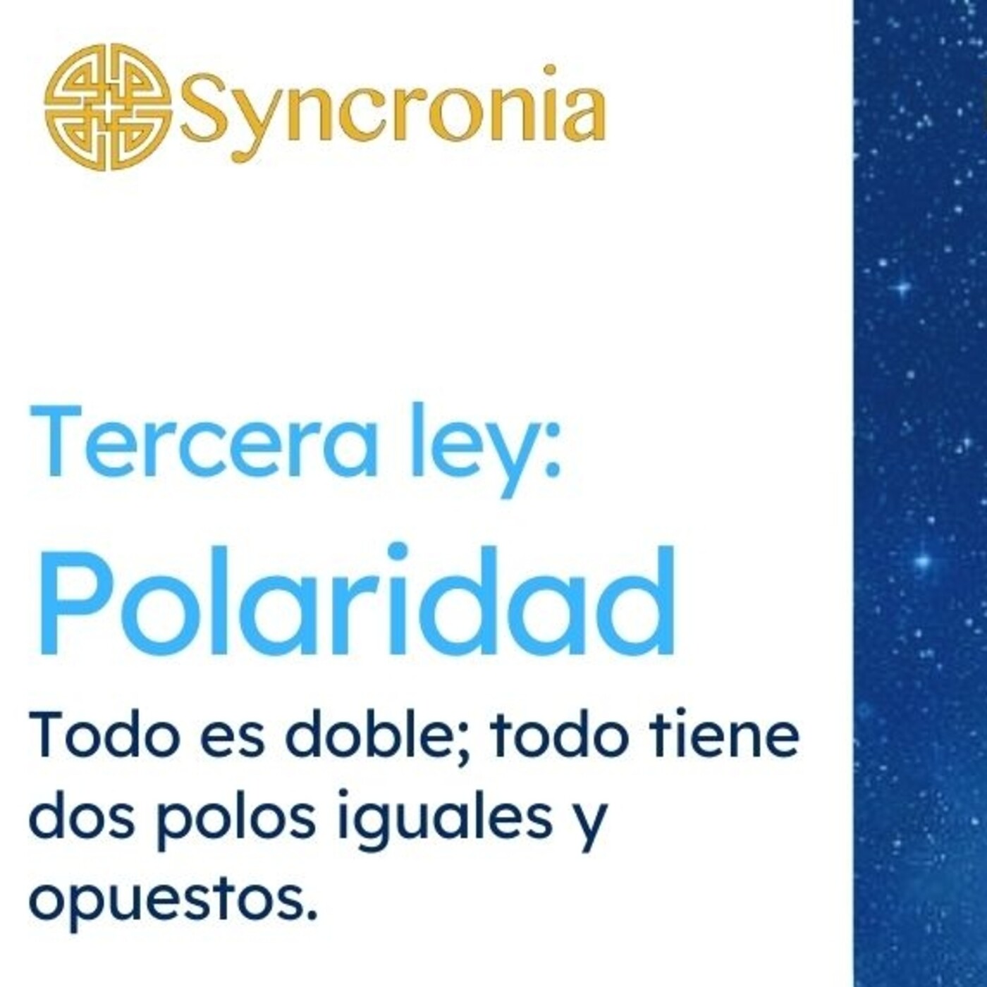 Charlas Syncronia