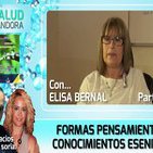 Formas Pensamiento, como nos afectan y como eliminarlas por Elisa Bernal Parte 1