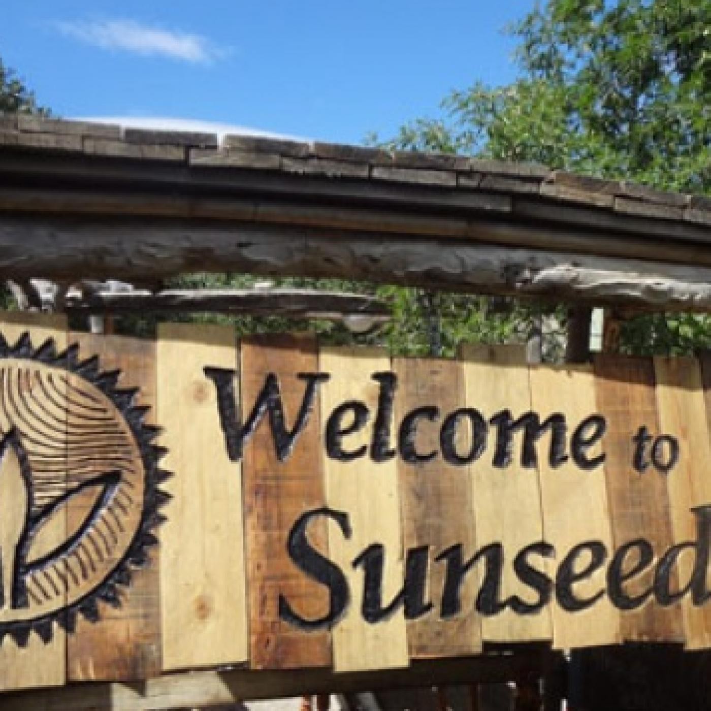 PENSANDO EN VERDE CON ECOMÍMESIS