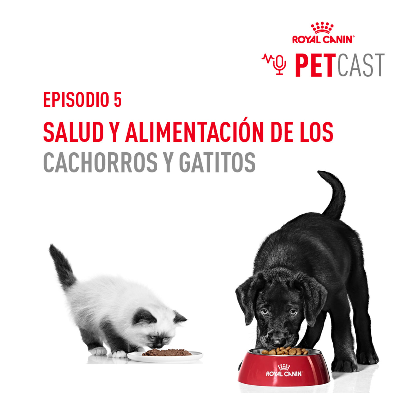 ROYAL CANIN PETCASTS ESPAÑA