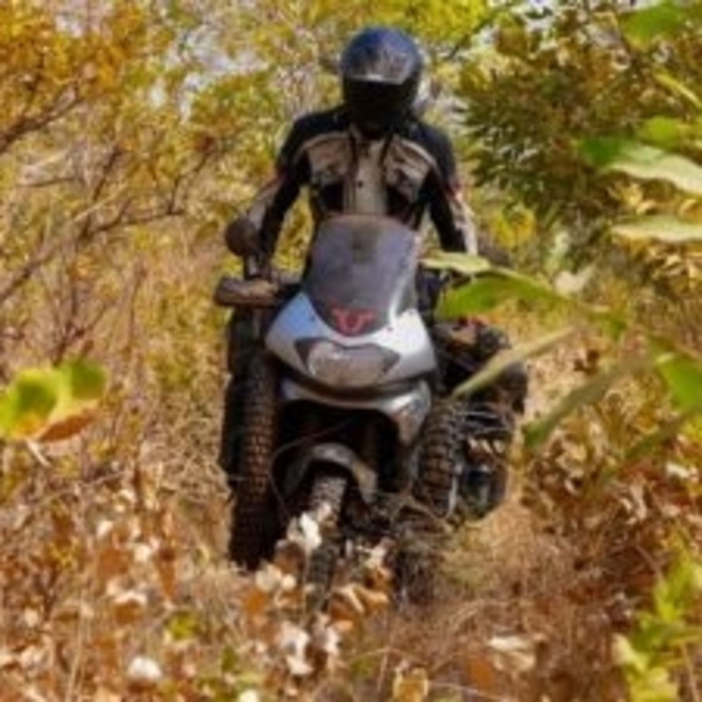 Viajo en Moto