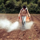 Plaguicidas: Percepciones de su uso en comunidades rurales de los Altos de Chiapas / Hector Ulises Bernardino Hernandez
