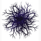 Alquimia 5.0_23-02-2019