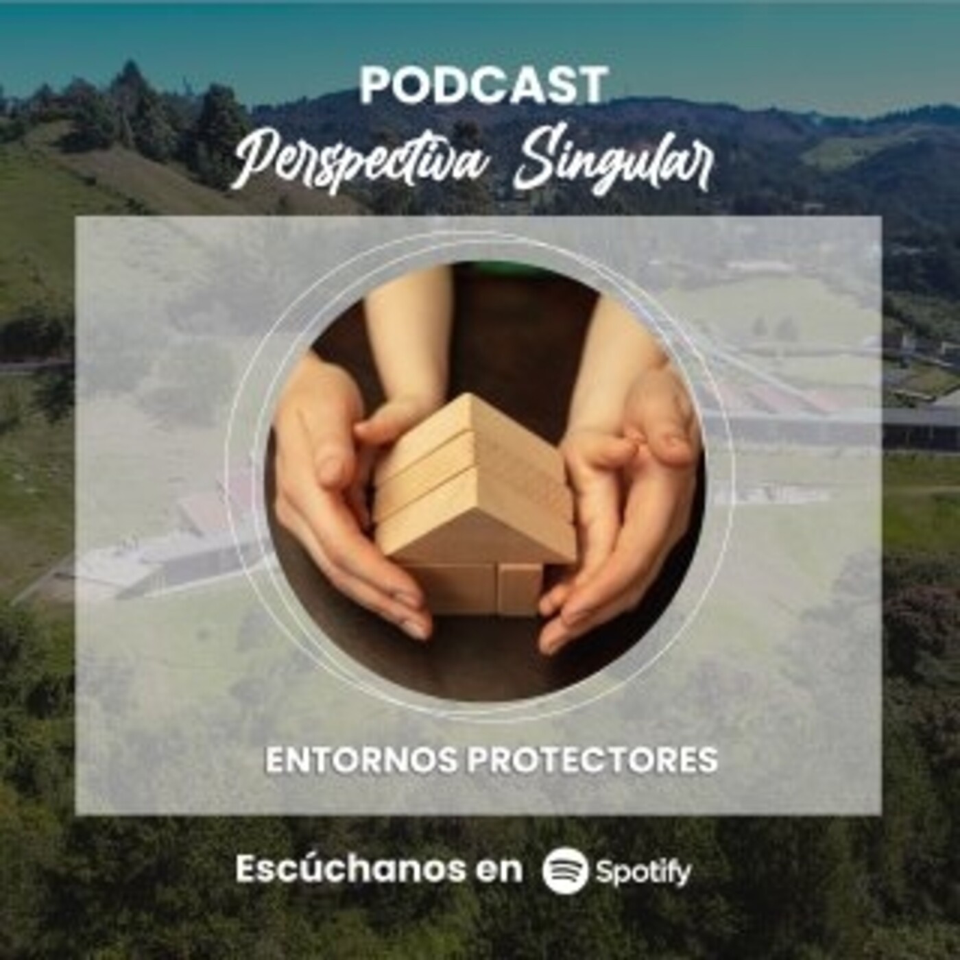 Perspectiva Singular