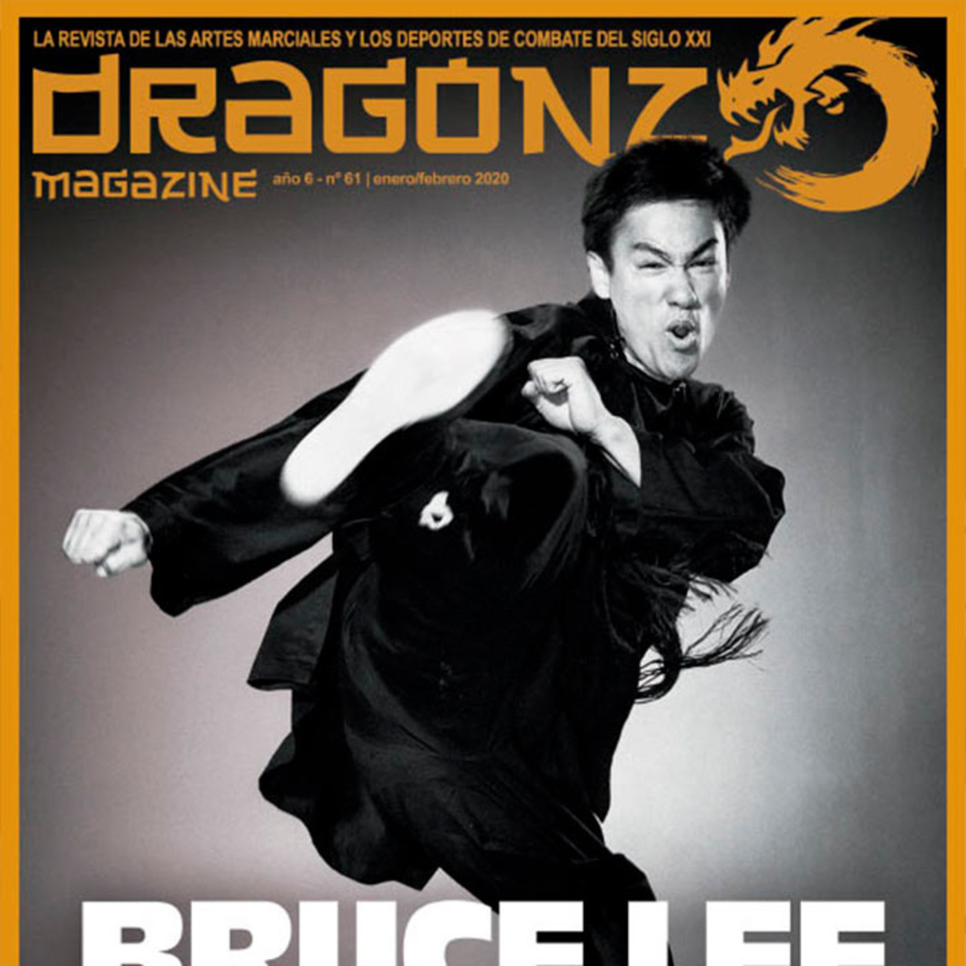 Dragonz | Artes Marciales y Deportes de Contacto