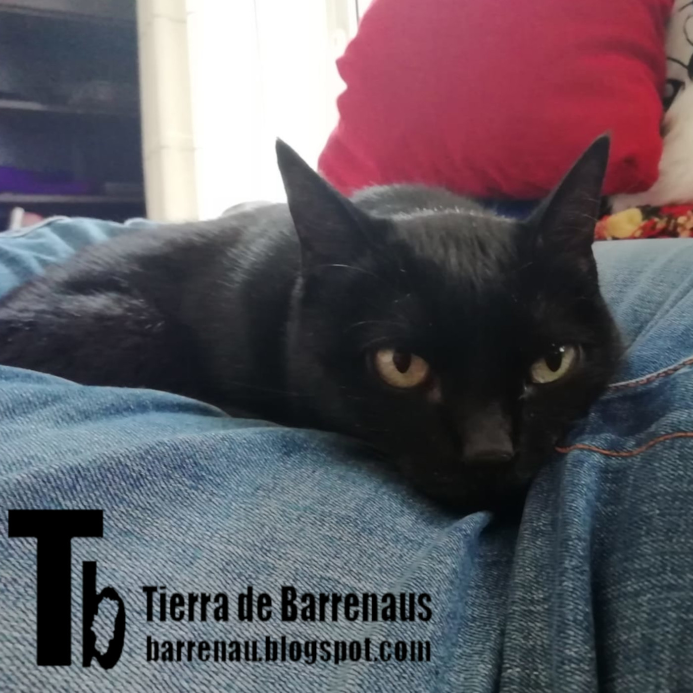Tierra de varrenadas