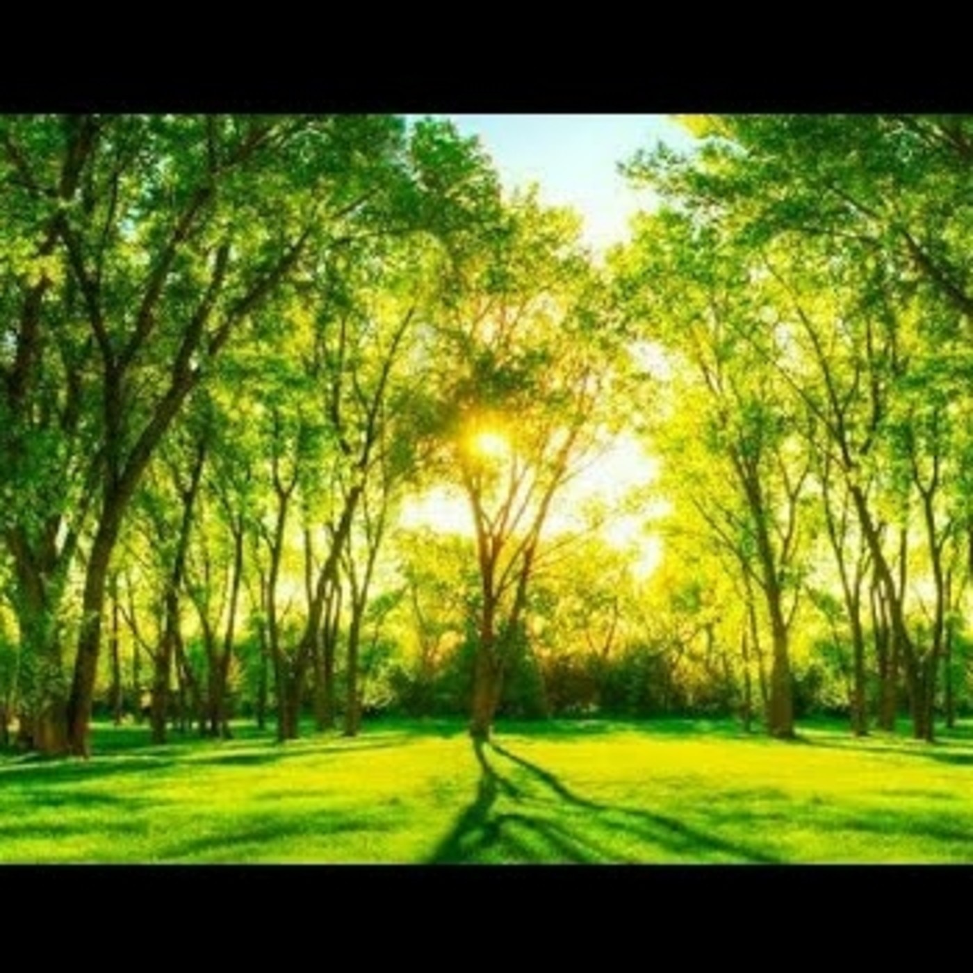 MANTRAS, MEDITACION Y MUSICA RELAJANTE