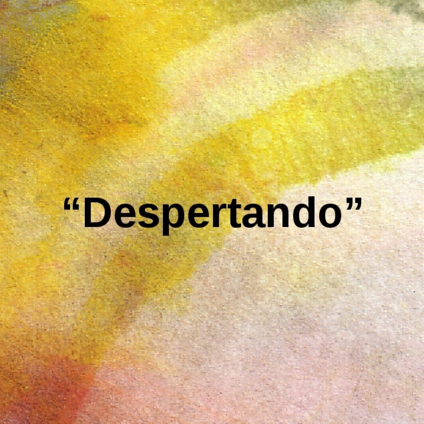 Marcus II Programas de Desenredado