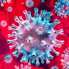 Crisis del coronavirus covid19