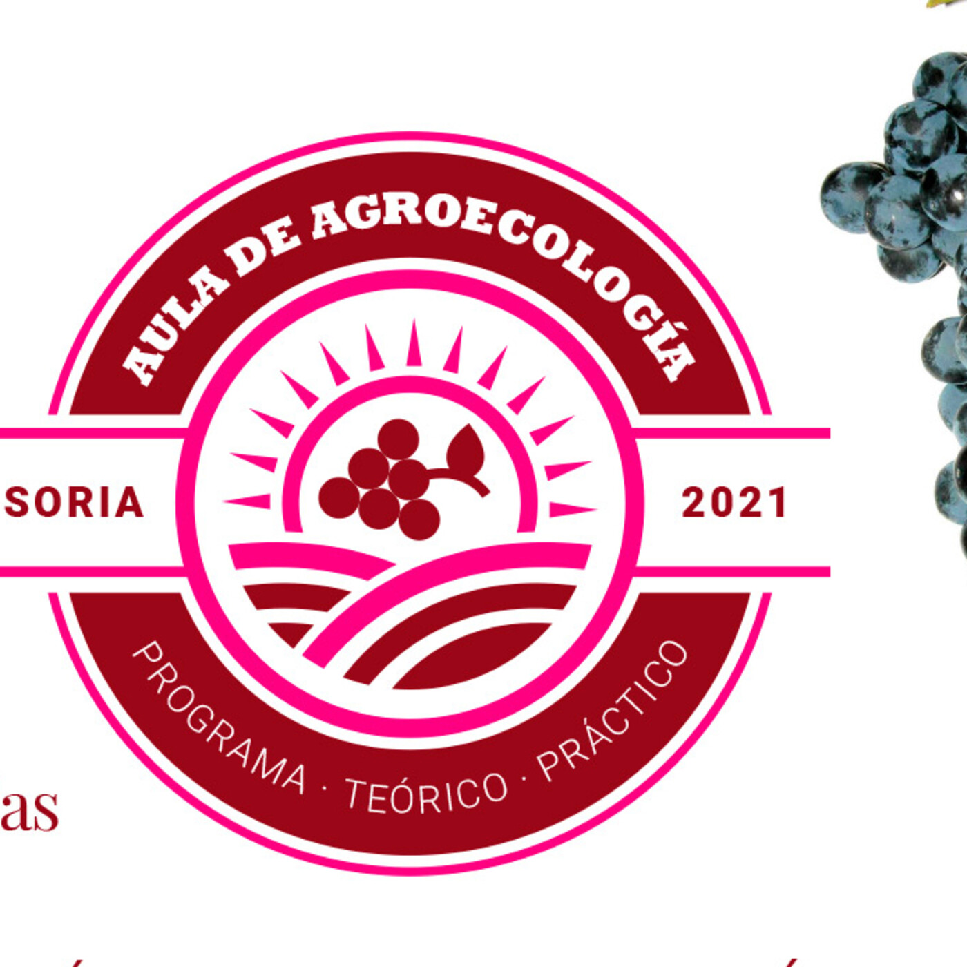 Asociación Tierras Sorianas del Cid