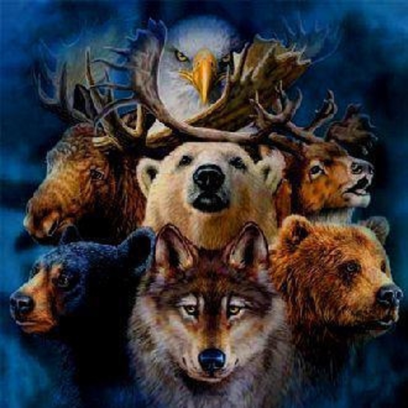 Sabiens. La Neo Divulgación.