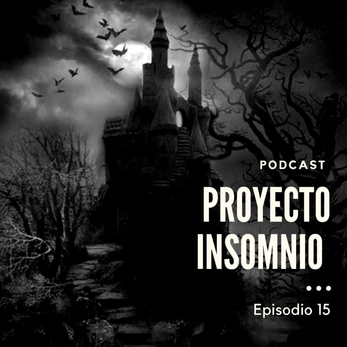Proyecto Insomnio